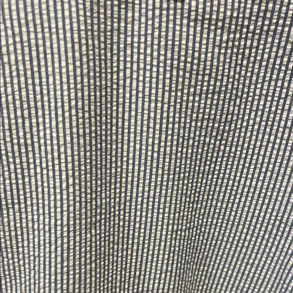 J. Crew Men's Classic Blue and White Pinstripe Pants